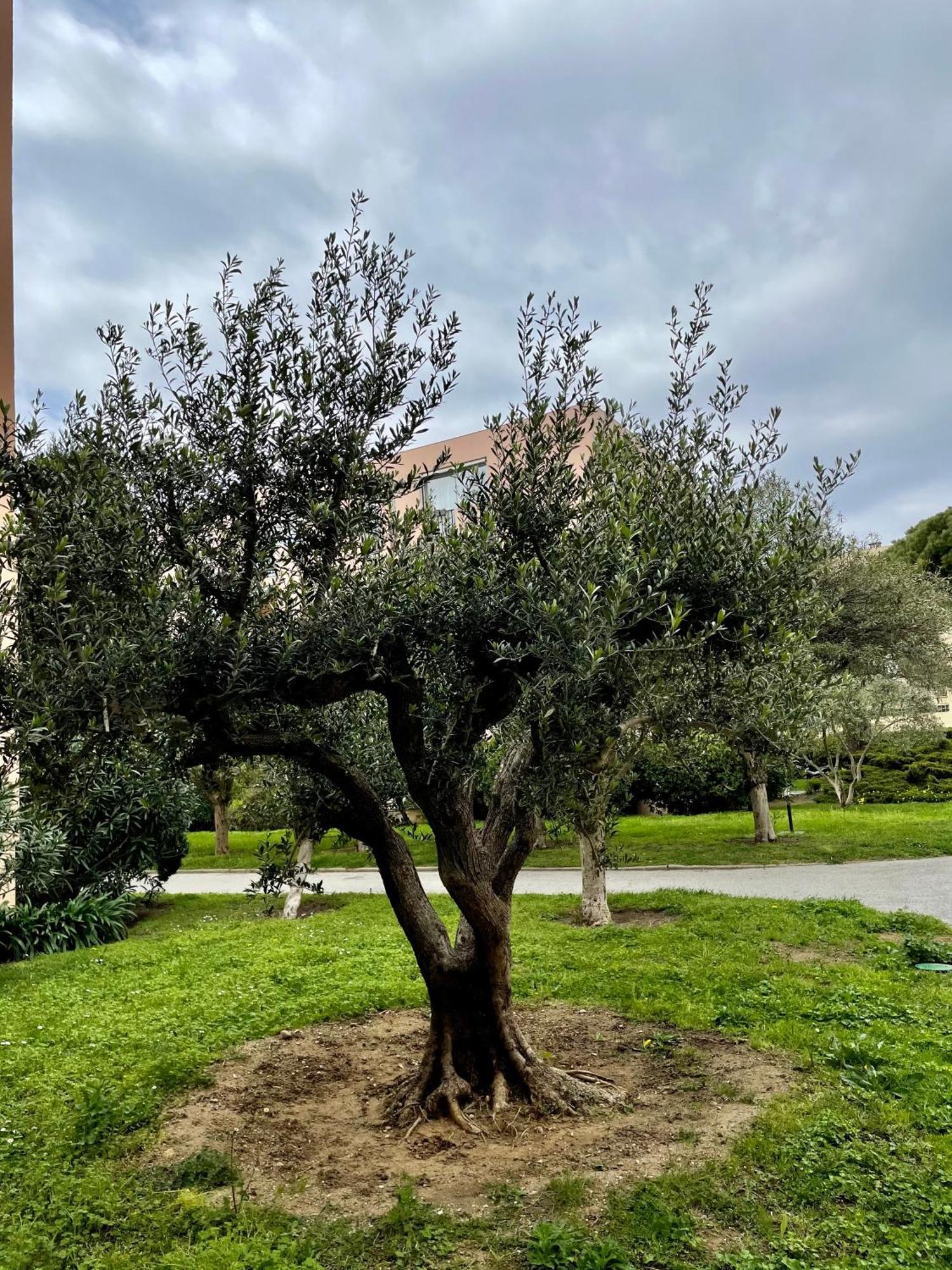 Appartement Saint Tropez Exterior foto